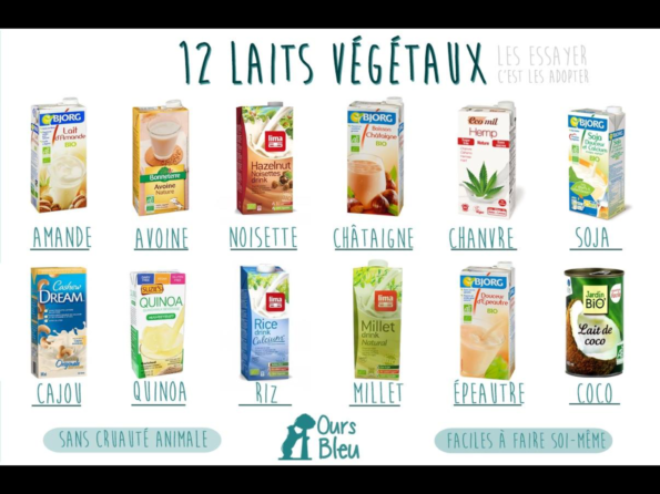 Comment Remplacer Les Produits Laitiers Vegan Freestyle